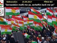 Kurdên Swêdê pêşewazîya biryara referandûmê dikin!