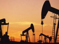 Kurdistan ji 5 welatên OPECê dewlemendtir e