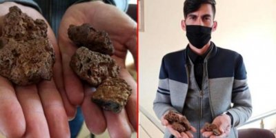 Cotyarê kevirên li nav zeviya xwe dîtîn bi 50 hezar dolaran difiroşe