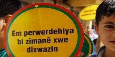 “Li saziyên dewletê cidaxwaziyê li zimanê dayikê dikin”