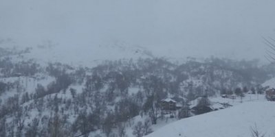 Dewêka Dêrsimî gerîyaye binê karantîna