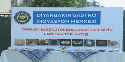 Li Amedê 9 curên xwarinê yên gelêrî hatin tomarkirin