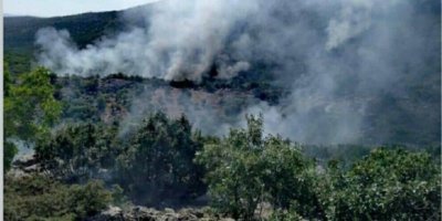 Daristanê Amed û Xarpêtî de şewat vejîya