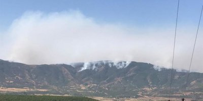 Şewata li daristanên Çewlîgê her ku diçe mezintir dibe