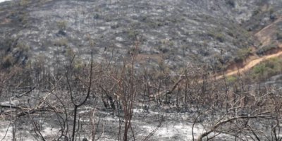 Şewato ke Çewlîg de vejîya badê 5 rojan girîya binê kontrolî