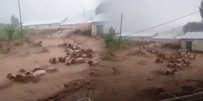 Wan de laser, 400 mêşnayî telef bîyî