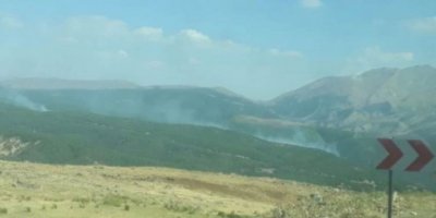 Şewata daristanên li Mûşê berdewam e