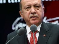 Erdogan heqaret li kurdan kir; herî hindik 10-15 zarok çêdikin