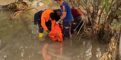 Li Qersê lehî rabû: Jinekê canê xwe ji dest da