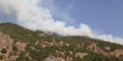 Dêrsim de yewna şewat vejîya