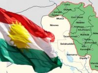 Yekgirtû: Referandûm biryara gelê kurd e!