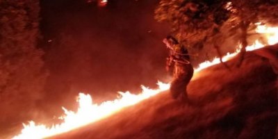 Agir bi daristanên Çiyayê Cudî ket