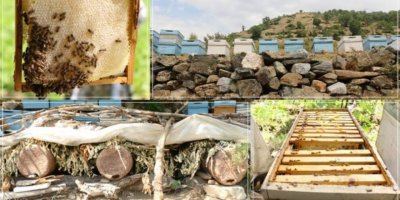 70 serrî yo bi hingdarî debara xo kenê