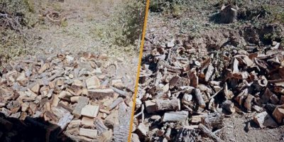 Parlamenterekî Kurdistanê: Çeteyên li gel Tirkiyê darên Kurdistanê dibirin