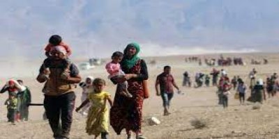 Rêxistinên Êzdîna û Gav ligel kesûkarên wendayan civiyan