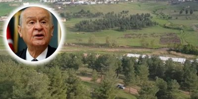 Li Amedê nerazîbûna li hember 'Daristana Bahçeli'