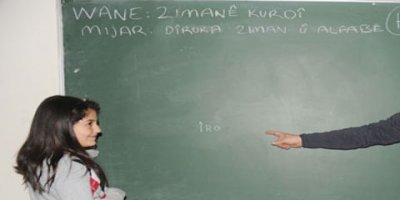 Sendîka ji bo Kurdî daxwaza sererastkirina yasayan dikin