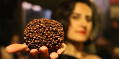 Ciwanan li Stenbolê bi çanda qedîm a Kurdan pêşwazî li Roja Evîndaran kir