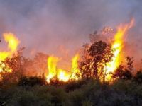 Leşkerên Tirkiyê agir berdan zeviyên Efrînê