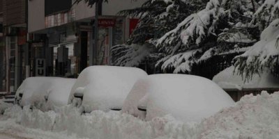 Çewlîg de rayîrê 230 dewan qefilîyayî!