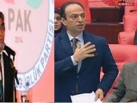 PAK: Em cezaya ku ji ber bikaranîna navê Kurdistanê li Osman Baydemir hatîye birîn şermezar dikin