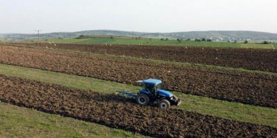 Li Tirkiyê cotkar serê dekarek genim 350 lîre zerar dikin