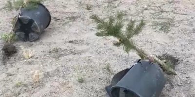 Li Dîgorê Êrîşa Dijî Şitilên ku bo Bîranîna Komkujîya 1993’an Hatine Çandin