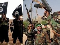 KERKÛK/ 27 milîsên Heşda Şeibî hatin revandin