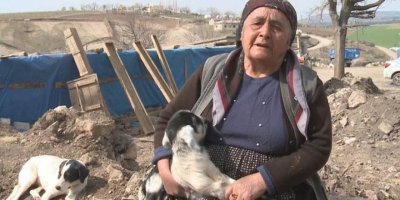 Li gundên Mereşê bi hezaran serî pez di erdhejê de telef bûne