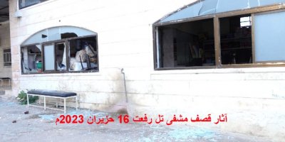 Efrîn di bin dagîrkeriyê de (250)