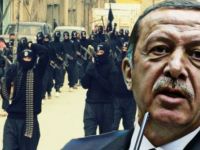 'Erdoğan û DAIŞ weke du sûretên pereyekê ne'