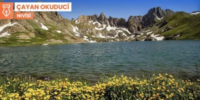 Bizina reş, qurta qurta avê û qertel