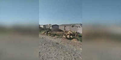 Efrîn: Roj bi roj Ereb û Tirkmenên hawirde zêdetir dibin