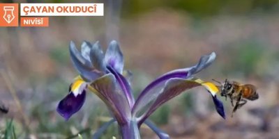 Di bîra zarokatiyê da Huseynî