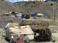 Bi hezaran Şirnexî di bin kolik û çadiran de dijîn