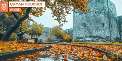 Kêzika bênav û payîza rengîn  