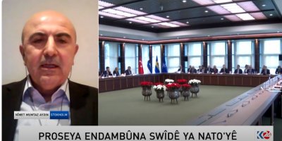Nîmet Mumtaz Aydin, Proseya Endambûna Swêdê ya NATOyê nirxand