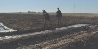 Cotkarên Rojavayê Kurdistanê dest ji çandiniyê berdidin: ‘Xisar e!’