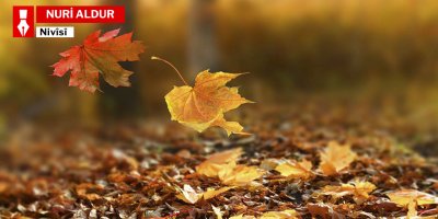 Pelên darê di weșihin