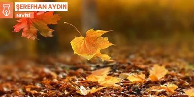 Nameyek ne ji kesî re