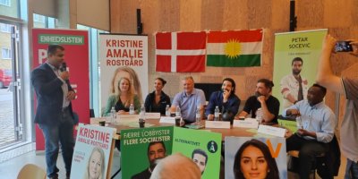 Panelekî bi berbijêrên meclîsa Ewropa ya Danîmaraka re!