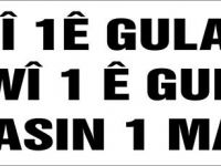PAK:  "1ê Gulanê li hemû karker û kedkaran pîroz be!"
