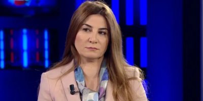 Viyan Dexîl: Wezareta Iraqê kampên penaberan daxîne em ê mijarê bibin NYyê