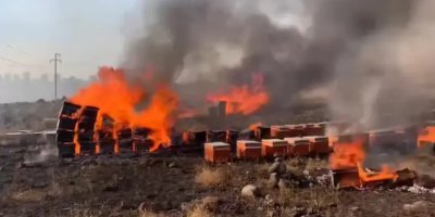 Di şewata arazî de bi sedan kewarên mêşên hingiv şewitîn