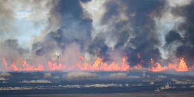 WAN - Li dehla ku wekî ‘biheşta çûkan’ tê binavkirin şewat derket