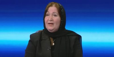 Viyan Sebrî: Heta niha Îraqê gerentî bi Apikurê nedaye