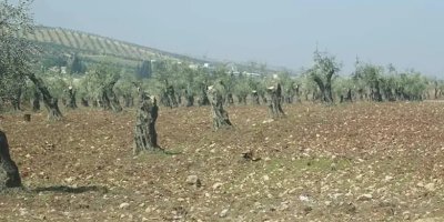 Binpêkirinên meha Adarê yên li Efrînê hatin eşkere kirin