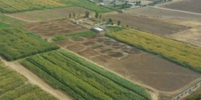 Kerkûk: 900 hezar donim erdên dagirkirî tên vegerandin