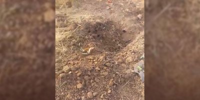 Du dron li asmanê Hewlêrê hatin êxistin