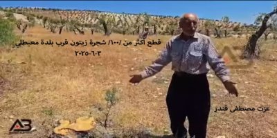 Efrîn di bin dagîrkeriyê de (325)